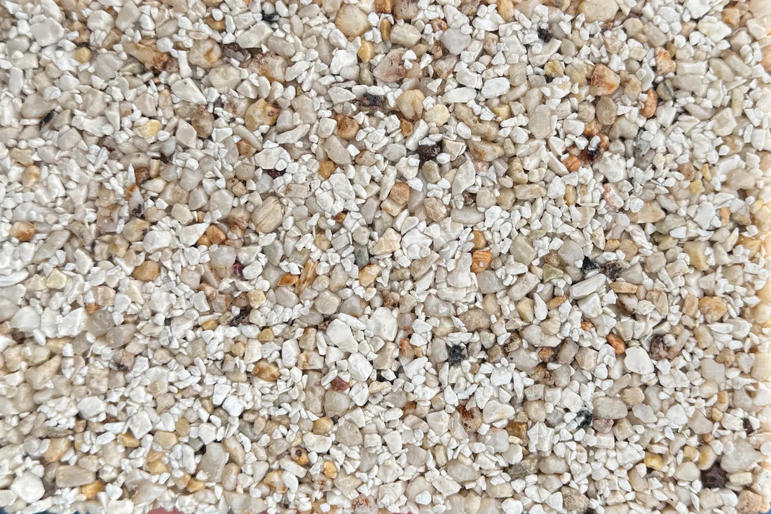 Bondi Breeze